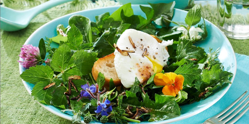 Butaris Butterschmalz Rezeptfoto Frühlingssalat mit pochiertem Ei